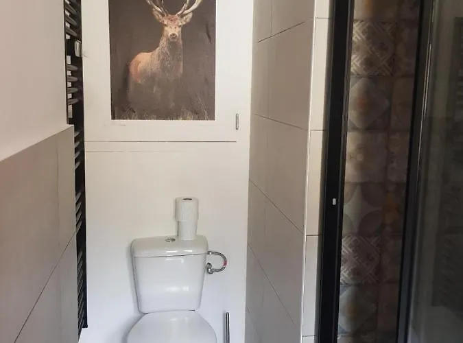 Castel Isard - Le Refuge Apartament *